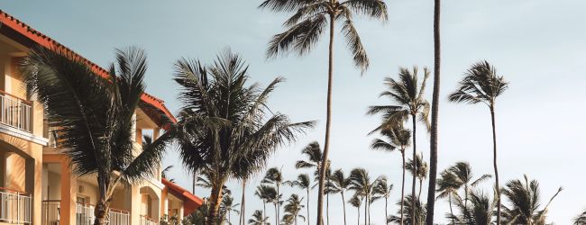 A tropical resort with palm trees, a serene swimming pool, and lounge chairs lined up beside it, all under a clear, blue sky at sunset.