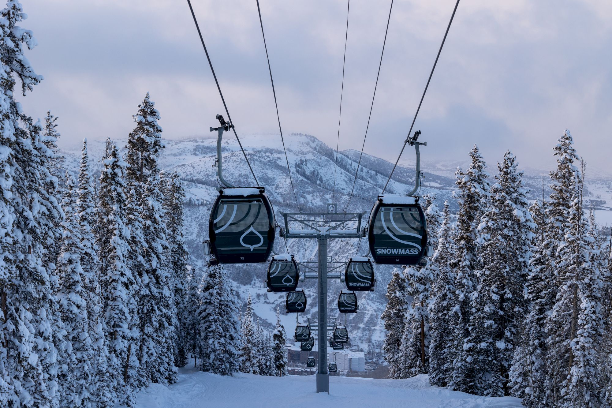 Snowy landscape with cable cars traveling through the tree-covered slopes of a mountain. The image depicts a ski lift in a winter setting.