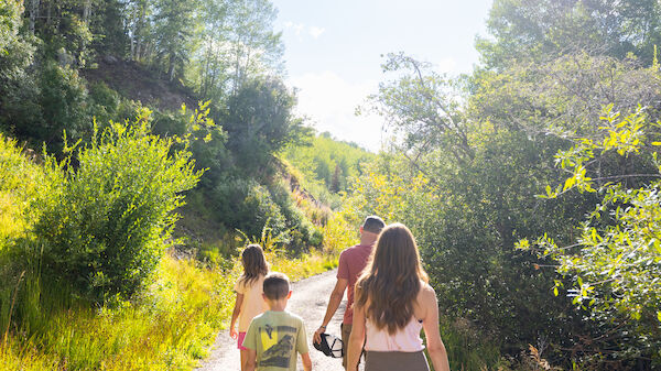 A group of people walking on a bright dirt trail through a sunlit forest with tall trees and green shrubs, enjoying a sunny outdoor hike.