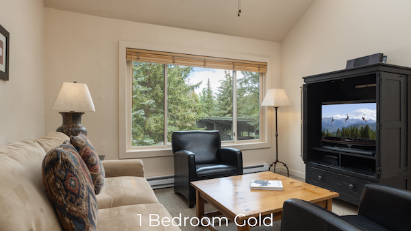 The image shows a cozy living area with a sofa, chairs, a coffee table, a TV unit, and a window overlooking trees.